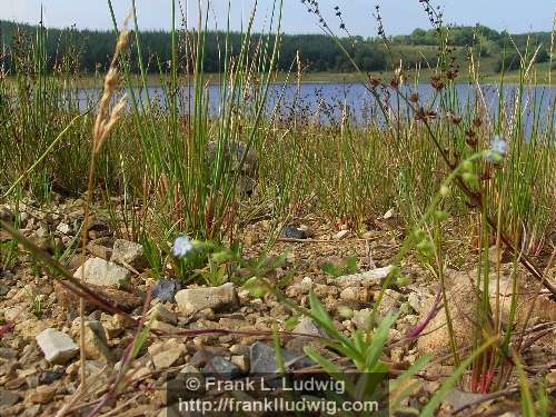 Lough Nasool, County Sligo